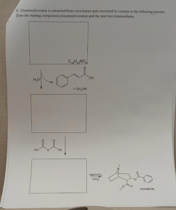 8. Cinnamoylcocaine is extracted from coca leaves and converted to cocaine in the following process.
Draw the starting compound (cinnamoylcocaine) and the next two intermediates.
CH NO
HO.
H,0
+ CH,OH
Ph
Ph
NaOCH,
CH,I
cocaine
