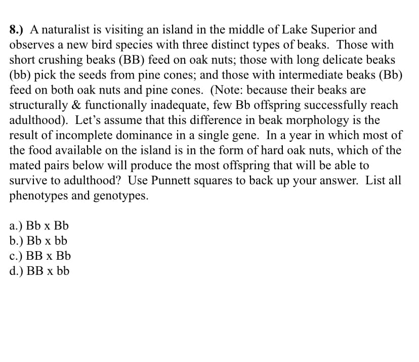 8.) A naturalist is visiting an island in the middle of Lake Superior and
observes a new bird species with three distinct types of beaks. Those with
short crushing beaks (BB) feed on oak nuts; those with long delicate beaks
(bb) pick the seeds from pine cones; and those with intermediate beaks (Bb)
feed on both oak nuts and pine cones. (Note: because their beaks are
structurally & functionally inadequate, few Bb offspring successfully reach
adulthood). Let's assume that this difference in beak morphology is the
result of incomplete dominance in a single gene. In a year in which most of
the food available on the island is in the form of hard oak nuts, which of the
mated pairs below will produce the most offspring that will be able to
survive to adulthood? Use Punnett squares to back up your answer. List all
phenotypes and genotypes.
а.) Bb x Bb
b.) Bb x bb
с.) ВВ х Вb
d.) BB x bb
