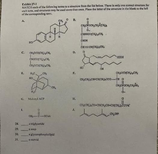 Exhibit 27-1
MATCII each ef the following terms lo a structure from the list below. There is only one correct stnicture for
each term, and stnietures may be used more than once. Place the letter of the struclure in the blank to the left
of the corresponding tenn.
CH, 0
B.
A.
CHCH
но
CH=CHCHCHs
C.
D.
CHOCOCH,
CHOCOCHCH
E.
HyC
CH
F.
HO
CHJCHCH-CHOCHyCco-CH O
CHOPOCH,CHI,
CH
0-
G.
Malony1 ACP
11.
CHCCH,NCH-CHCH,CH-CHCHCơne
1.
J.
CH,CFP
CH-C-2CA
28.
a triglyceride
29.
a sap
30.
a glycerophunpholipid
J1.
a steroid
