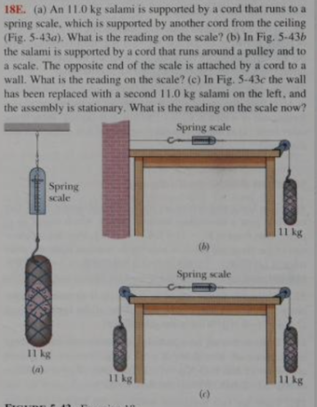 18E. (a) An 11.0 kg salami is supported by a cord that runs to a
spring scale, which is supported by another cord from the ceiling
(Fig. 5-43a). What is the reading on the scale? (b) In Fig. 5-43b
the salami is supported by a cord that runs around a pulley and to
a scale. The opposite end of the scale is attached by a cord to a
wall. What is the reading on the scale? (c) In Fig. 5-43c the wall
has been replaced with a second 1.0 kg salami on the left, and
the assembly is stationary, What is the reading on the scale now?
Spring scale
Spring
scale
11 kg
(b)
Spring scale
I1 kg
(a)
11 kg
11 kg
(6)
