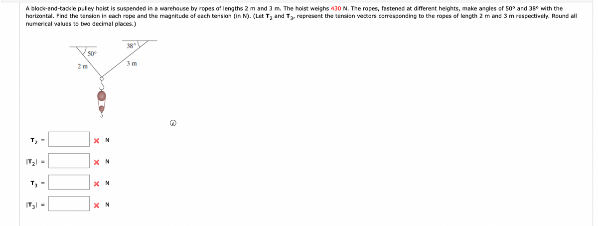 A block-and-tackle pulley hoist is suspended in a warehouse by ropes of lengths 2 m and 3 m. The hoist weighs 430 N. The ropes, fastened at different heights, make angles of 50° and 38° with the
horizontal. Find the tension in each rope and the magnitude of each tension (in N). (Let T, and T3, represent the tension vectors corresponding to the ropes of length 2 m and 3 m respectively. Round all
numerical values to two decimal places.)
38°
50°
3 m
2 m
T2
X N
|T2l
X N
T3
X N
=
|T3| =
X N
