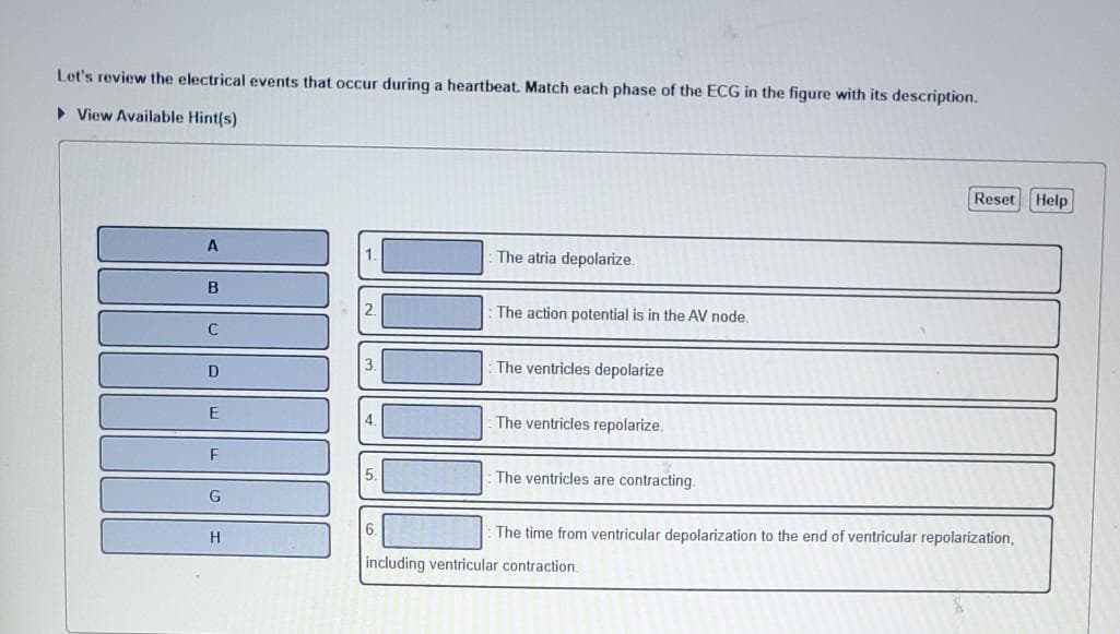 Let's review the electrical events that occur during a heartbeat. Match each phase of the ECG in the figure with its description.
View Available Hint(s)
A
B
C
D
E
F
G
H
6.
The atria depolarize.
The action potential is in the AV node.
The ventricles depolarize
The ventricles repolarize.
The ventricles are contracting.
Reset Help
The time from ventricular depolarization to the end of ventricular repolarization,
including ventricular contraction.