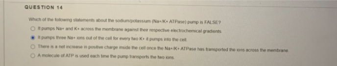 QUESTION 14
Which of the following statements about the sodium/potassium (Na+/K+ ATPase) pump is FALSE?
O It pumps Na+ and K+ across the membrane against their respective electrochemical gradients
It pumps three Na+ ions out of the cell for every two K it pumps into the cell.
O There is a net increase in positive charge inside the cell once the Na+/K+ ATPase has transported the ions across the membrane
OA molecule of ATP is used each time the pump transports the two ions