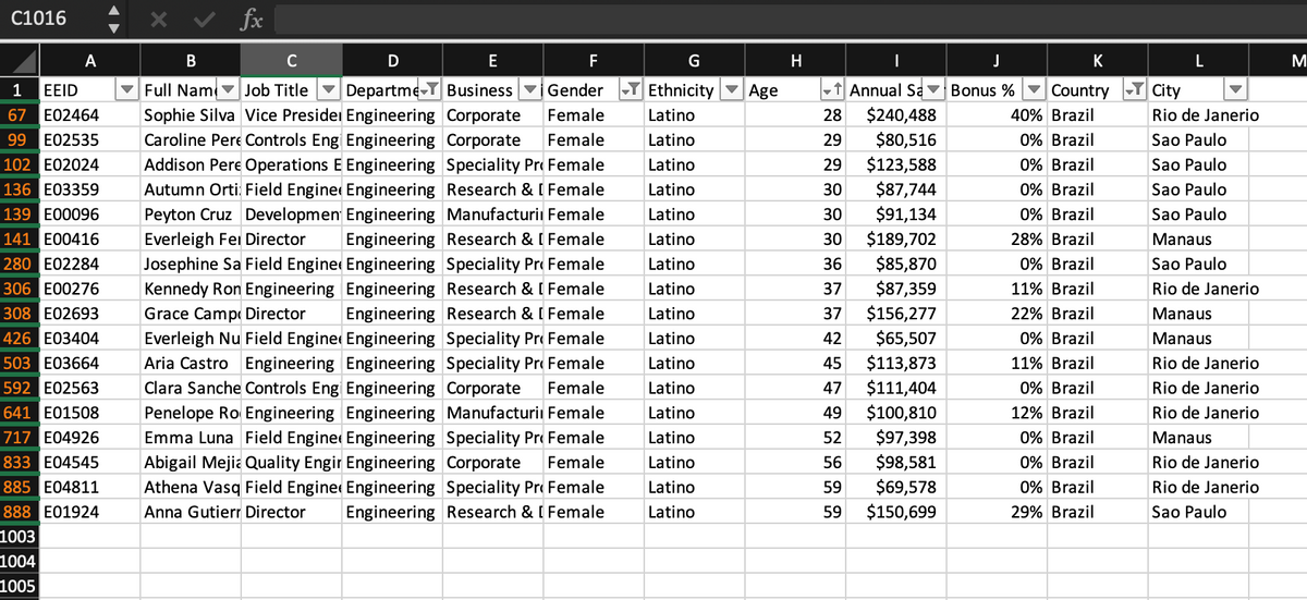 C1016
A
1 EEID
67 E02464
99 E02535
102 E02024
136 E03359
139 E00096
141 E00416
280 E02284
306 E00276
308 E02693
426 E03404
503 E03664
592 E02563
641 E01508
717 E04926
833 E04545
885 E04811
888 E01924
1003
1004
1005
‒‒‒‒‒‒‒‒‒‒
X
fx
B
C
D
E
F
Gender
Full Name Job Title Departme- Business
Sophie Silva Vice Presiden Engineering Corporate Female
Caroline Pere Controls Eng Engineering Corporate Female
Addison Pere Operations E Engineering Speciality ProFemale
Autumn Orti: Field Engine Engineering Research & [Female
Peyton Cruz Development Engineering Manufacturii Female
Everleigh Fer Director Engineering Research & [ Female
Josephine Sa Field Engine Engineering Speciality Pro Female
Kennedy Ron Engineering Engineering Research & [Female
Grace Camp Director Engineering Research & [ Female
Everleigh Nu Field Engine Engineering Speciality Pro Female
Aria Castro Engineering Engineering Speciality ProFemale
Clara Sanche Controls Eng Engineering Corporate Female
Penelope Ro Engineering Engineering Manufacturii Female
Emma Luna Field Engine Engineering Speciality Pro Female
Abigail Mejia Quality Engir Engineering Corporate Female
Athena Vasq Field Engine Engineering Speciality ProFemale
Anna Gutierr Director Engineering Research & [ Female
G
Ethnicity
Ethnicity
Latino
Latino
Latino
Latino
Latino
Latino
Latino
Latino
Latino
Latino
Latino
Latino
Latino
Latino
Latino
Latino
Latino
Age
H
|
J
↑ Annual Sa Bonus %
28 $240,488
29 $80,516
29 $123,588
30 $87,744
30 $91,134
30 $189,702
36 $85,870
37 $87,359
37 $156,277
42 $65,507
45 $113,873
47 $111,404
49
$100,810
52 $97,398
56 $98,581
59 $69,578
59 $150,699
K
Country
40% Brazil
0% Brazil
0% Brazil
0% Brazil
0% Brazil
28% Brazil
0% Brazil
11% Brazil
22% Brazil
0% Brazil
11% Brazil
0% Brazil
12% Brazil
0% Brazil
0% Brazil
0% Brazil
29% Brazil
L
City
Rio de Janerio
Sao Paulo
Sao Paulo
Sao Paulo
Sao Paulo
Manaus
Sao Paulo
Rio de Janerio
Manaus
Manaus
Rio de Janerio
Rio de Janerio
Rio de Janerio
Manaus
Rio de Janerio
Rio de Janerio
Sao Paulo
M