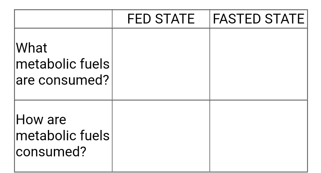 FED STATE
FASTED STATE
What
metabolic fuels
are consumed?
How are
metabolic fuels
consumed?
