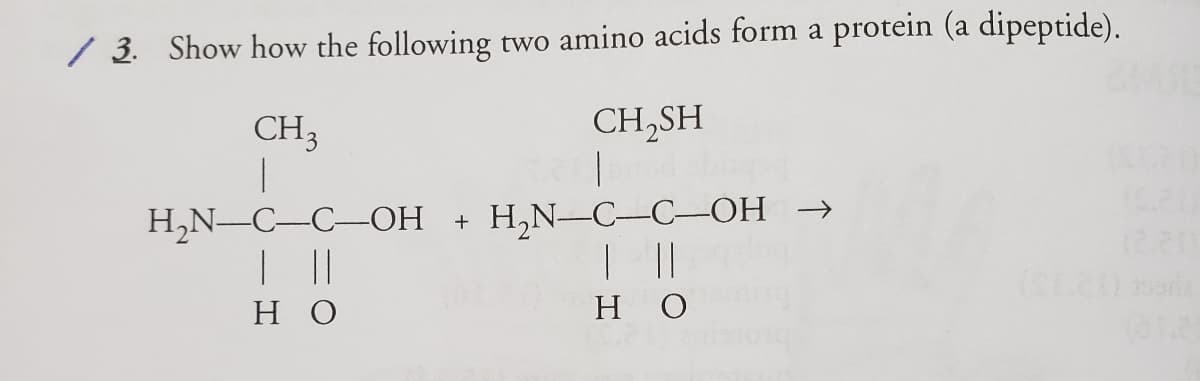 / 3. Show how the following two amino acids form a protein (a dipeptide).
CH3
CH,SH
H,N-C-C-OH →
||
H,N–C-C-OH
но
но
