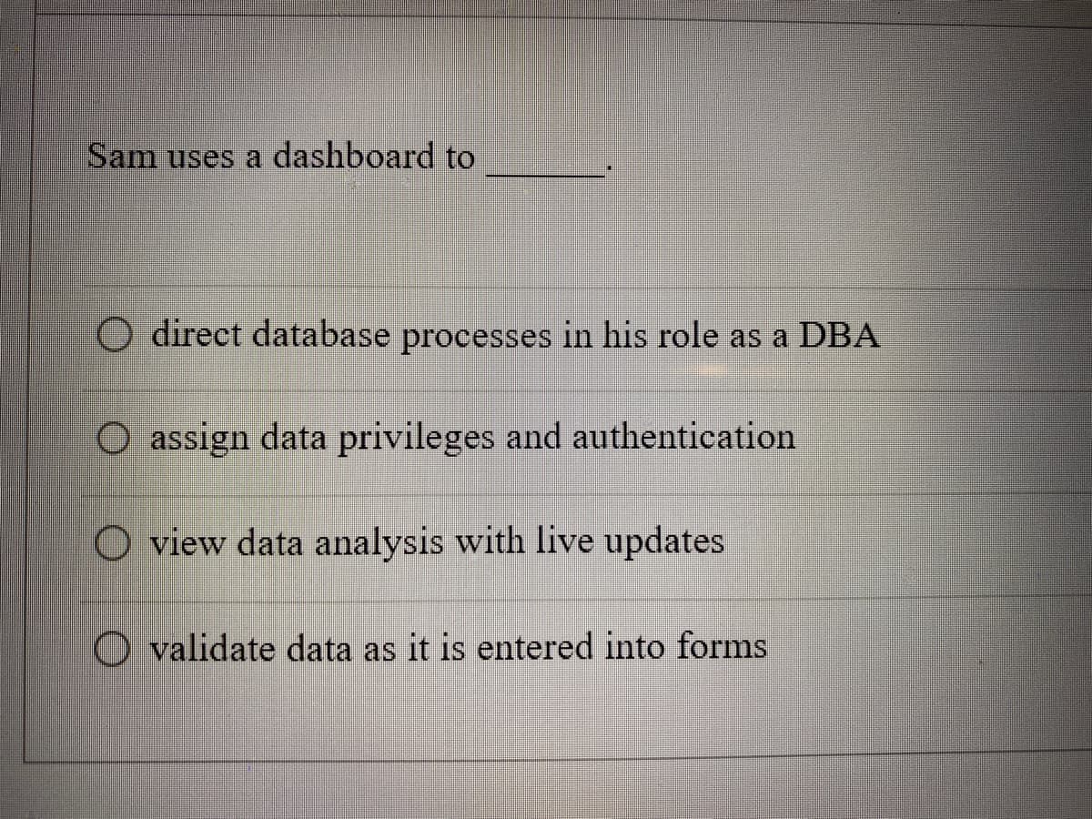 Sam uses a dashboard to
direct database processes in his role as a DBA
O assign data privileges and authentication
O view data analysis with live updates
O validate data as it is entered into forms