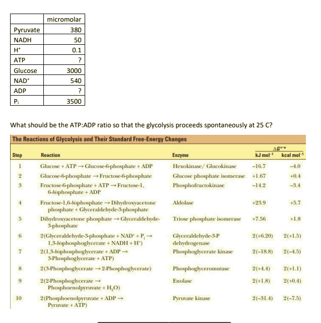 micromolar
Pyruvate
380
NADH
50
H*
0.1
ATP
?
Glucose
3000
NAD+
540
ADP
?
Pi
3500
What should be the ATP:ADP ratio so that the glycolysis proceeds spontaneously at 25 C?
The Reactions of Glycolysis and Their Standard Free-Energy Changes
Step
Enzyme
AG
kJ mol kcal mol
Reaction
Glucose + ATP → Glucose-6-phosphate + ADP
Hexokinase/ Glucokinase
-16.7
-4.0
Glucose-6-phosphate →Fructose-6-phosphate
Fructose-6-phosphate + ATP → Fructose-l,
6-bisphosphate + ADP
Fructose-1,6-bisphosphate Dihydroxyacetone
phosphate + Glyceraldehyde-3-phosphate
2
Glucose phosphate isomerase +1.67
+0.4
3
Phosphofructokinase
-14.2
-3.4
Aldolase
+23.9
+5.7
Dihydroxyacetone phosphate→ Glyceraldehyde-
3-phosphate
Triose phosphate isomerase
+7.56
+1.8
2(Glyceraldehyde-3-phosphate + NAD* + P, →
1,3-bisphosphoglycerate + NADH + H")
Glyceraldehyde-3-P
dehydrogenase
2(+6.20)
2(+1.5)
7
Phosphoglycerate kinase
2(1,3-bisphosphoglycerate + ADP →
3-Phosphoglycerate + ATP)
2(-18.8)
2(-4.5)
2(3-Phosphoglycerate →2-Phosphoglycerate)
Phosphoglyceromutase
2(+4.4)
2(+1.1)
9.
2(2-Phosphoglycerate -
Phosphoenolpyruvate + H,O)
Enolase
2(+1.8)
2(+0.4)
2(Phosphoenolpyruvate + ADP →
Pyruvate + ATP)
10
Pyruvate kinase
2(-31.4)
2(-7.5)
