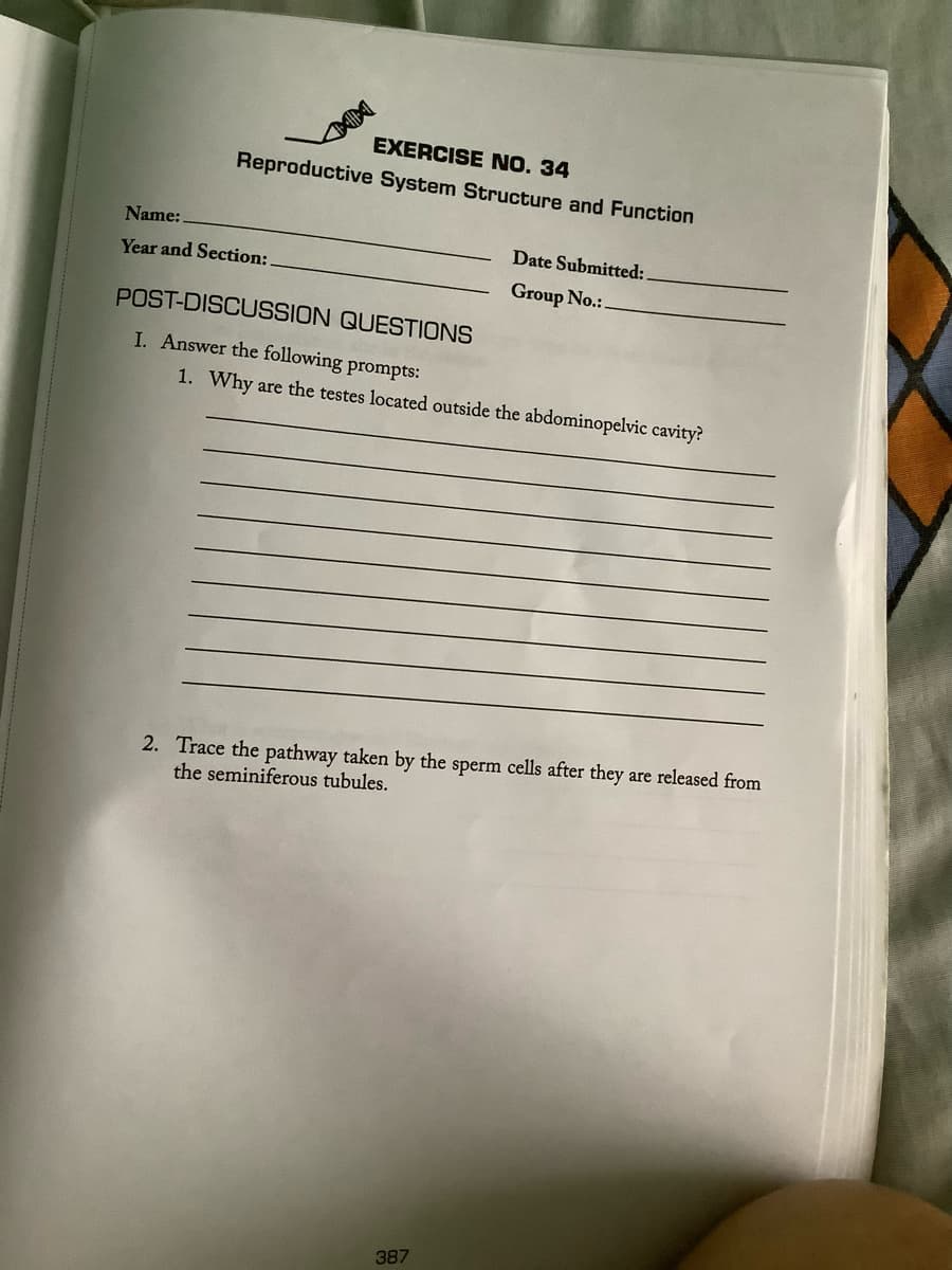 EXERCISE NO. 34
Reproductive System Structure and Function
Name:
Year and Section:
Date Submitted:.
Group No.:.
POST-DISCUSSION QUESTIONS
I. Answer the following prompts:
1. Why are the testes located outside the abdominopelvic cavity?
2. Trace the pathway taken by the sperm cells after they are released from
the seminiferous tubules.
387
