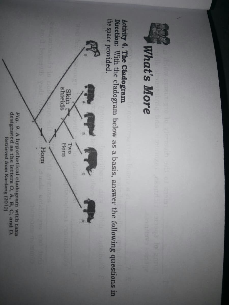 to
What's More
Activity 4. The Cladogram
Direction: With the cladogram below as a basis, answer the following questions in
the
space provided.
Skin
shields
Two
Horn
ananonsi lo no
Horn
20re epsrc
Fig. 9. A hypothetical cladogram with taxa
de signated as the letters O, A, B, C, and D.
Retrieved from Kardong (2012)
