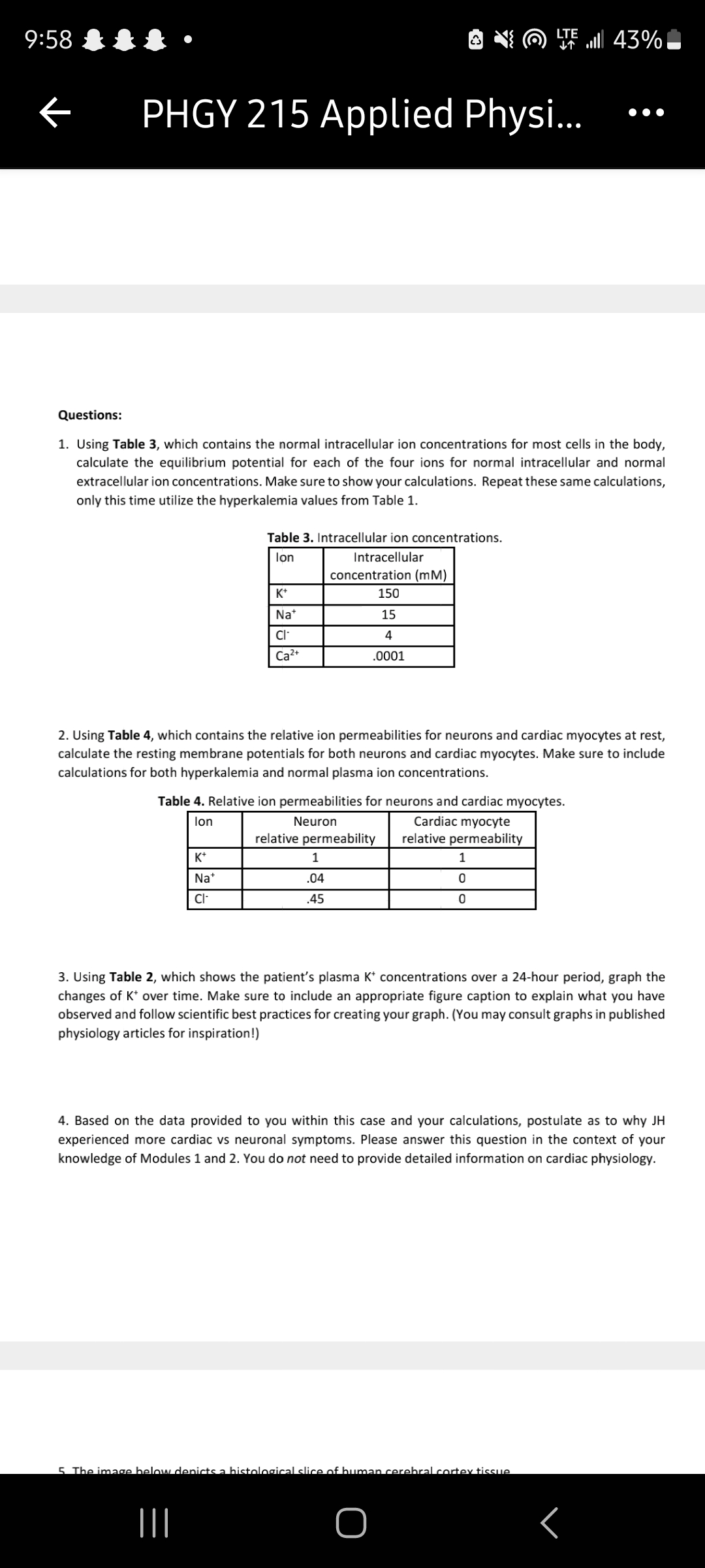 9:58
←
LTE 43%
PHGY 215 Applied Physi...
Questions:
1. Using Table 3, which contains the normal intracellular ion concentrations for most cells in the body,
calculate the equilibrium potential for each of the four ions for normal intracellular and normal
extracellular ion concentrations. Make sure to show your calculations. Repeat these same calculations,
only this time utilize the hyperkalemia values from Table 1.
Table 3. Intracellular ion concentrations.
lon
Intracellular
concentration (mM)
150
K+
Na*
15
CI
Ca2+
4
.0001
2. Using Table 4, which contains the relative ion permeabilities for neurons and cardiac myocytes at rest,
calculate the resting membrane potentials for both neurons and cardiac myocytes. Make sure to include
calculations for both hyperkalemia and normal plasma ion concentrations.
Table 4. Relative ion permeabilities for neurons and cardiac myocytes.
lon
K+
Na+
Neuron
relative permeability
1
.04
CI-
.45
Cardiac myocyte
relative permeability
1
0
0
3. Using Table 2, which shows the patient's plasma K* concentrations over a 24-hour period, graph the
changes of K* over time. Make sure to include an appropriate figure caption to explain what you have
observed and follow scientific best practices for creating your graph. (You may consult graphs in published
physiology articles for inspiration!)
4. Based on the data provided to you within this case and your calculations, postulate as to why JH
experienced more cardiac vs neuronal symptoms. Please answer this question in the context of your
knowledge of Modules 1 and 2. You do not need to provide detailed information on cardiac physiology.
5. The image below depicts a histological slice of human cerebral cortex tissue
III