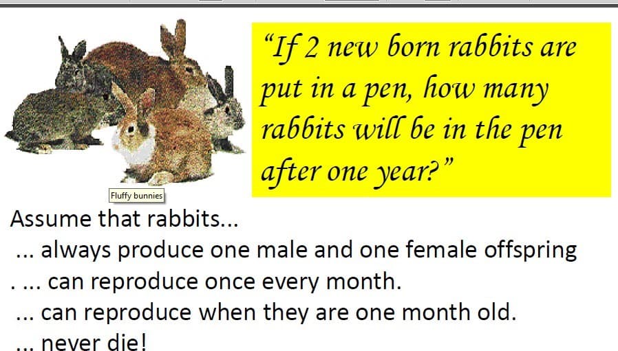 "If 2 new born rabbits are
put in a pen, how many
rabbits will be in the pen
after one year?"
Fluffy bunnies
Assume that rabbits...
... always produce one male and one female offspring
.... can reproduce once every month.
... can reproduce when they are one month old.
neyer die!
