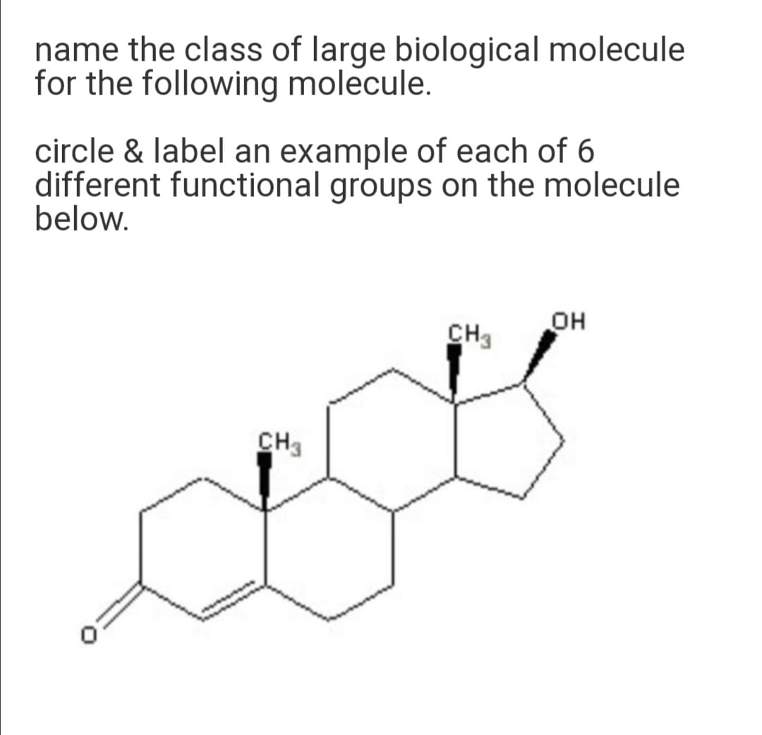 name the class of large biological molecule
for the following molecule.
circle & label an example of each of 6
different functional groups on the molecule
below.
CH3
OH
CH3
