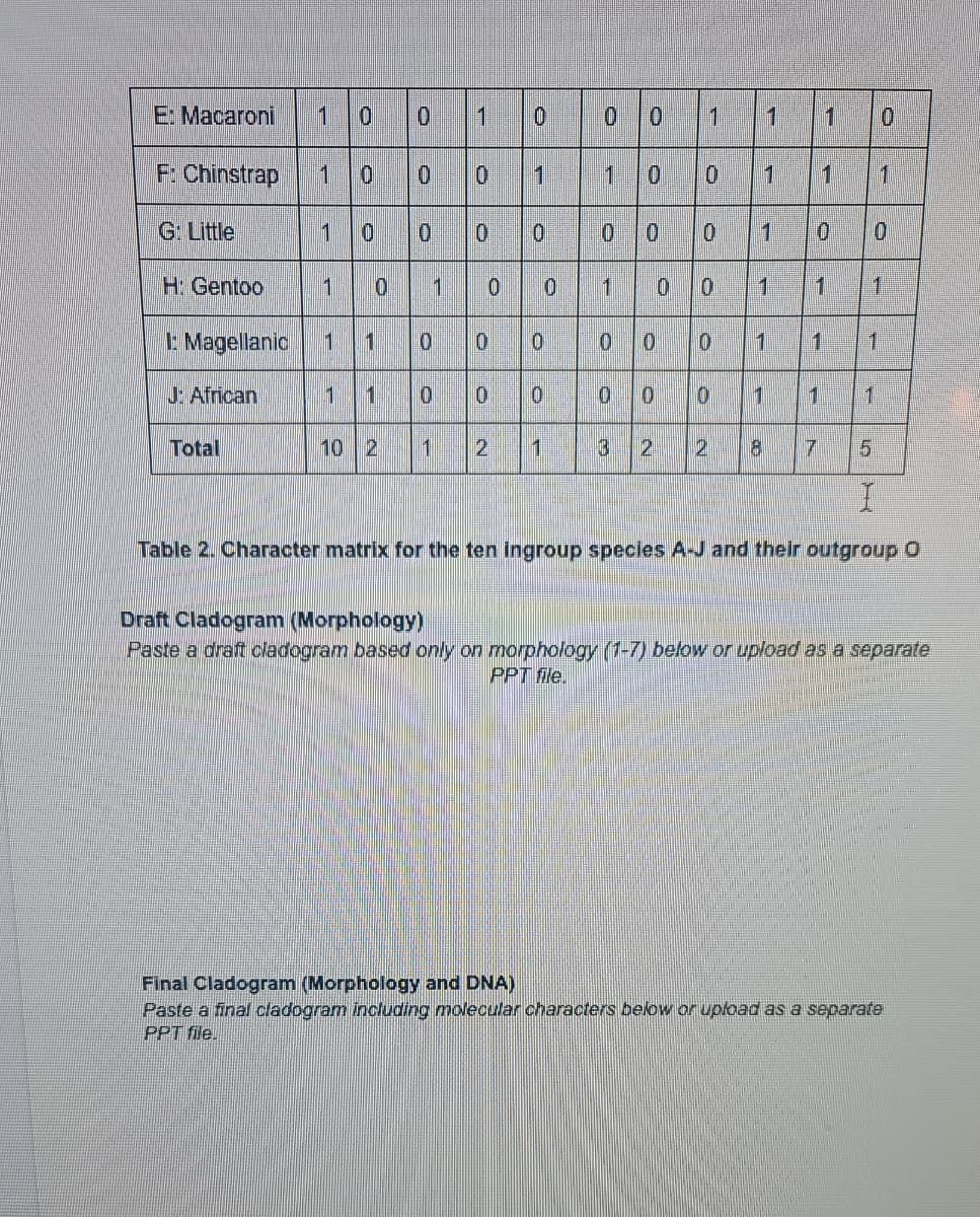 E: Macaroni
1
1
0.
1
1
1
F: Chinstrap
1
0.
1
1
1.
1
G: Little
01
H Gentoo
11
1
1.
1
E Magellanic
1
1
1
1
1
J African
1
1.
Total
10 2
1
2
3
2.
8.
7.
Table 2. Character matrix for the ten ingroup specles A-J and their outgroup O
Draft Cladogram (Morphology)
Paste a draft cladogram based only on morphology (1-7) below or upload as a separate
PPT fle.
Final Cladogram (Morphology and DNA)
Paste a final cladogram incluoding molecular characters below or upload as a separate
PPT file.
一
Le lol-
