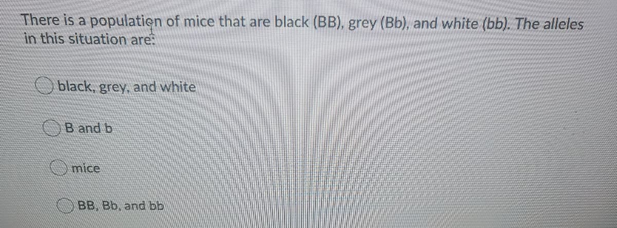 There is a populatien of mice that are black (BB), grey (Bb), and white (bb) The alleles
in this situation are
black, grey, and white
OB and b
mice
BB. Bb. and bb
