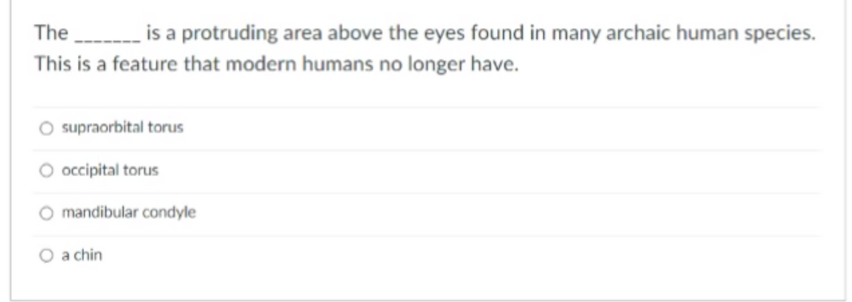 The is a protruding area above the eyes found in many archaic human species.
This is a feature that modern humans no longer have.
O supraorbital torus
O occipital torus
O mandibular condyle
a chin
