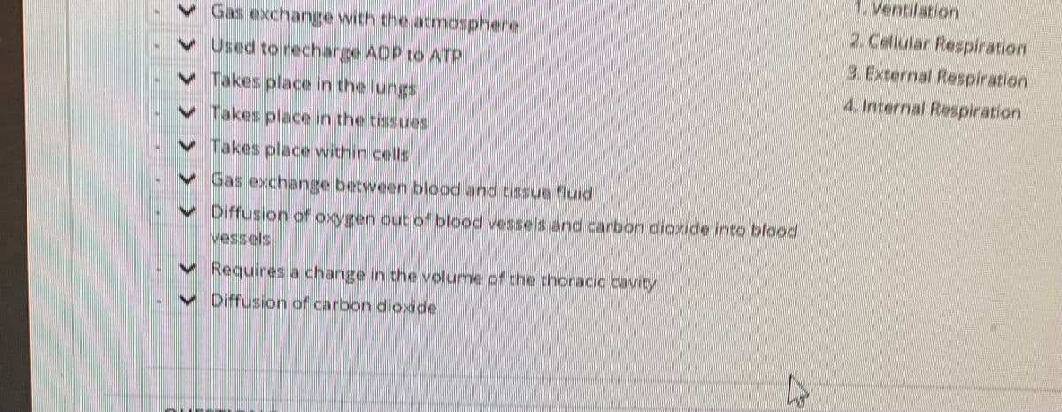 Ventilation
2. Cellular Respiration
3.External Respiration
4. Internal Respiration
V Used to recharge ADP to ATP
sanssp a
v Takes place within cells
v Gas exchange between blood and tissuefluid
v Diffusion of c
vessels
oxygen out of blood vessels and carbon dioxide into blood
v Requires a change in the volume of the thoracic.cavity
v Diffusion of carbon dioxide
