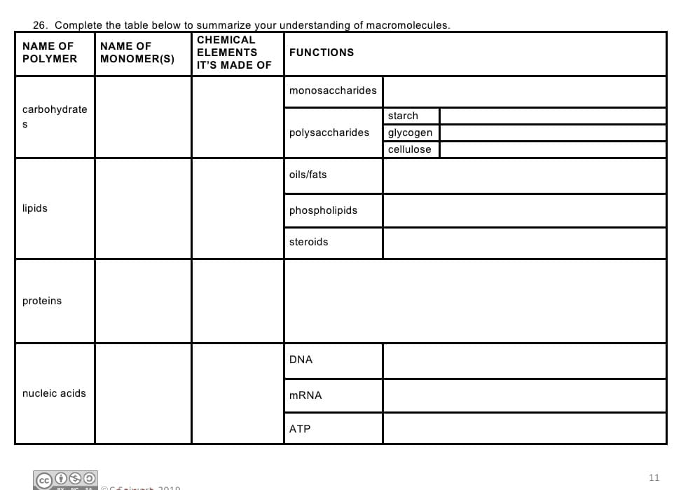 26. Complete the table below to summarize your understanding of macromolecules.
CHEMICAL
NAME OF
POLYMER
NAME OF
ELEMENTS
FUNCTIONS
MONOMER(S)
IT'S MADE OF
monosaccharides
carbohydrate
starch
polysaccharides
glycogen
cellulose
oils/fats
lipids
phospholipids
steroids
proteins
DNA
nucleic acids
MRNA
ATP
11
