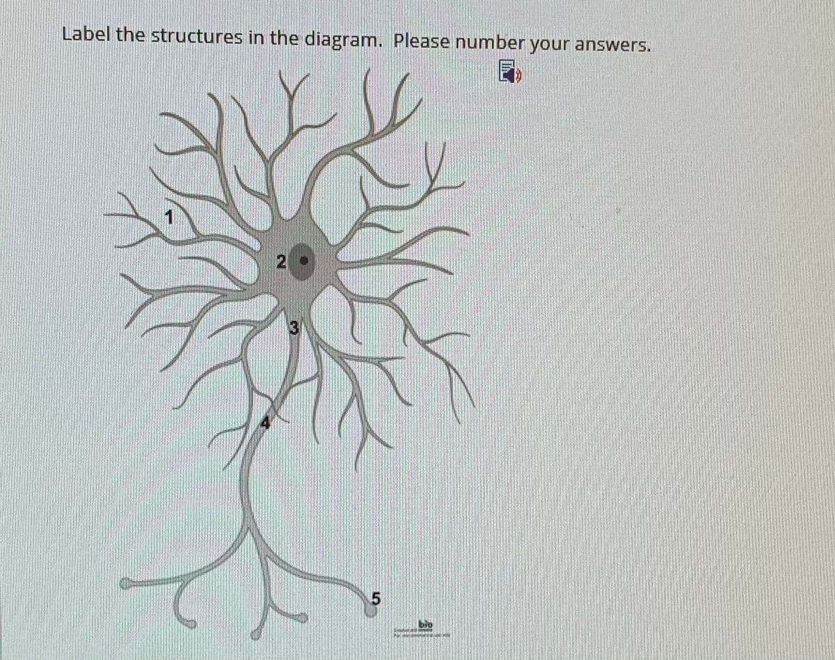 Label the structures in the diagram. Please number your answers.
2
bio
