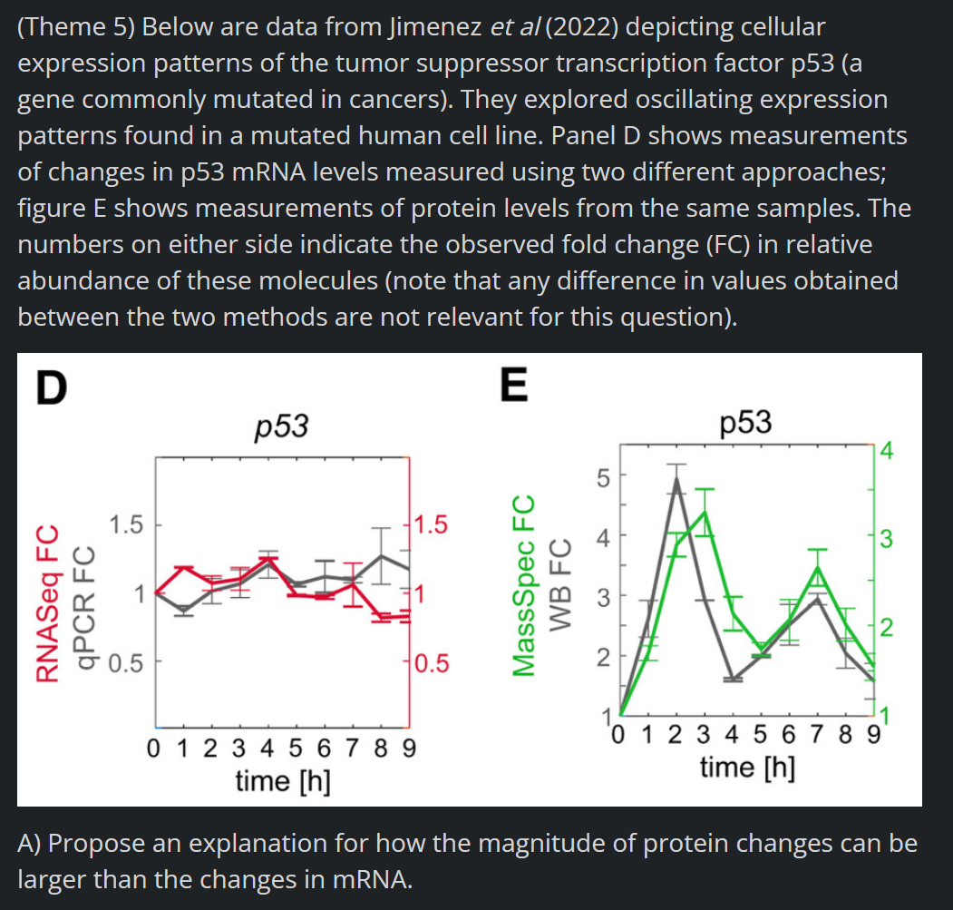 (Theme 5) Below are data from Jimenez et al (2022) depicting cellular
expression patterns of the tumor suppressor transcription factor p53 (a
gene commonly mutated in cancers). They explored oscillating expression
patterns found in a mutated human cell line. Panel D shows measurements
of changes in p53 mRNA levels measured using two different approaches;
figure E shows measurements of protein levels from the same samples. The
numbers on either side indicate the observed fold change (FC) in relative
abundance of these molecules (note that any difference in values obtained
between the two methods are not relevant for this question).
D
E
RNASeq FC
qPCR FC
1.5
1
0.5
p53
1.5
0.5
0 1 2 3 4 56789
time [h]
MassSpec FC
WB FC
5
2
p53
0 1 2 3 4 5 6 7 8 9
time [h]
A) Propose an explanation for how the magnitude of protein changes can be
larger than the changes in mRNA.