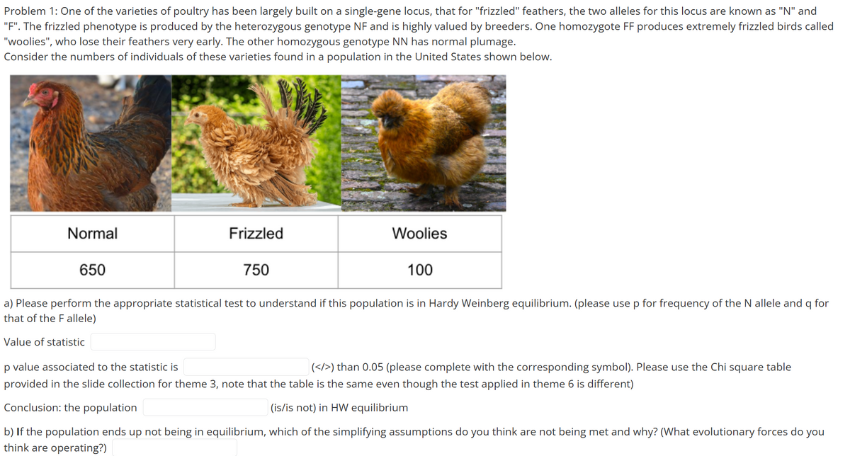 Problem 1: One of the varieties of poultry has been largely built on a single-gene locus, that for "frizzled" feathers, the two alleles for this locus are known as "N" and
"F". The frizzled phenotype is produced by the heterozygous genotype NF and is highly valued by breeders. One homozygote FF produces extremely frizzled birds called
"woolies", who lose their feathers very early. The other homozygous genotype NN has normal plumage.
Consider the numbers of individuals of these varieties found in a population in the United States shown below.
Normal
650
LOND
Frizzled
750
Woolies
100
a) Please perform the appropriate statistical test to understand if this population is in Hardy Weinberg equilibrium. (please use p for frequency of the N allele and q for
that of the F allele)
Value of statistic
p value associated to the statistic is
(</>) than 0.05 (please complete with the corresponding symbol). Please use the Chi square table
provided in the slide collection for theme 3, note that the table is the same even though the test applied in theme 6 is different)
Conclusion: the population
(is/is not) in HW equilibrium
b) If the population ends up not being in equilibrium, which of the simplifying assumptions do you think are not being met and why? (What evolutionary forces do you
think are operating?)