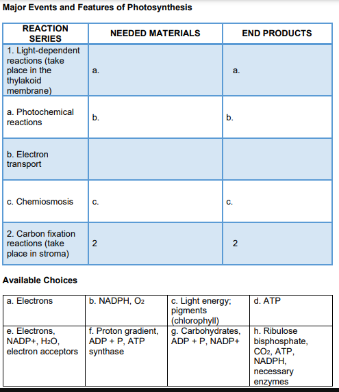 Major Events and Features of Photosynthesis
REACTION
SERIES
1. Light-dependent
reactions (take
place in the
thylakoid
membrane)
NEEDED MATERIALS
END PRODUCTS
a.
a.
a. Photochemical
b.
b.
reactions
b. Electron
transport
c. Chemiosmosis
C.
C.
2. Carbon fixation
reactions (take
place in stroma)
2
2
Available Choices
b. NADPH, O2
c. Light energy;
pigments
(chlorophyll)
g. Carbohydrates, h. Ribulose
ADP + P, NADP+
a. Electrons
d. ATP
e. Electrons,
NADP+, H2O,
electron acceptors synthase
f. Proton gradient,
ADP + P, ATP
bisphosphate,
CO2, ATP,
NADPH,
necessary
enzymes
