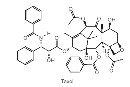 Он
O..
бн
он
Taxol
..:0
