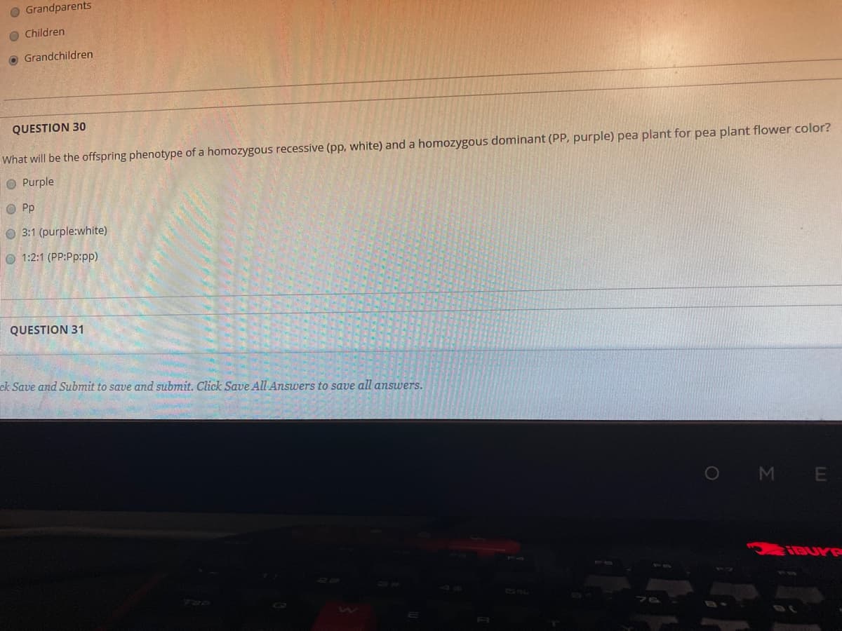 O Grandparents
O Children
O Grandchildren
QUESTION 30
What will be the offspring phenotype of a homozygous recessive (pp, white) and a homozygous dominant (PP, purple) pea plant for pea plant flower color?
O Purple
O Pp
O 3:1 (purple:white)
O 1:2:1 (PP:Pp:pp)
QUESTION 31
ck Save and Submit to save and submit. Click Save All Answers to save all answers.
OM E
