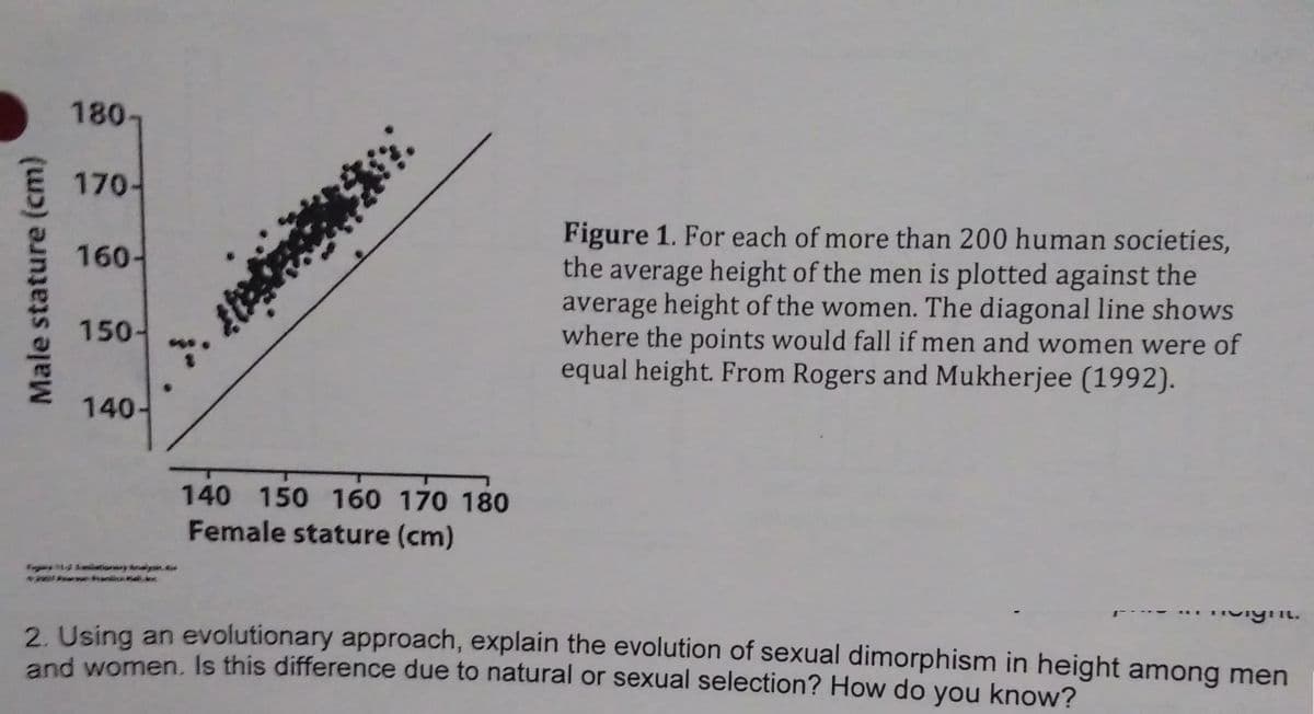 180-
170-
Figure 1. For each of more than 200 human societies,
the average height of the men is plotted against the
average height of the women. The diagonal line shows
where the points would fall if men and women were of
equal height. From Rogers and Mukherjee (1992).
160-
150-
140-
140 150 160 170 180
Female stature (cm)
tionry ysin.e
2. Using an evolutionary approach, explain the evolution of sexual dimorphism in height among men
and women, Is this difference due to natural or sexual selection? How do know?
you
Male stature (cm)
