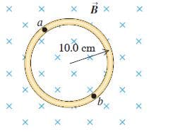 x a
10.0 cm
