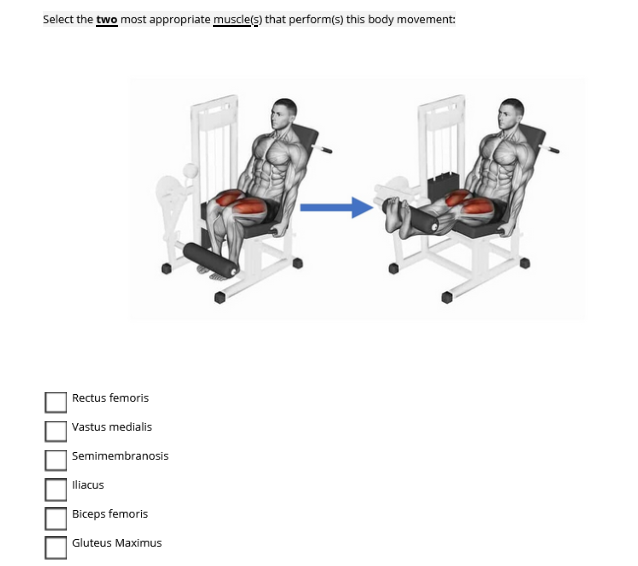 Select the two most appropriate muscle(s) that perform(s) this body movement:
Rectus femoris
Vastus medialis
Semimembranosis
Iliacus
Biceps femoris
Gluteus Maximus
