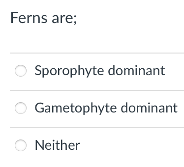 Ferns are;
Sporophyte dominant
Gametophyte dominant
O Neither
