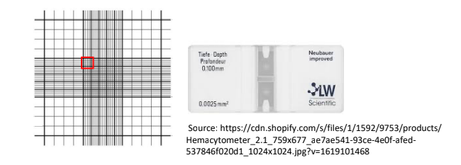 Tiefe Depth
Profondeur
0.100mm
Neubauer
improved
0.0025 mm?
Scientific
Source: https://cdn.shopify.com/s/files/1/1592/9753/products/
Hemacytometer_2.1_759x677_ae7ae541-93ce-4e0f-afed-
537846f020d1_1024x1024.jpg?v=1619101468
