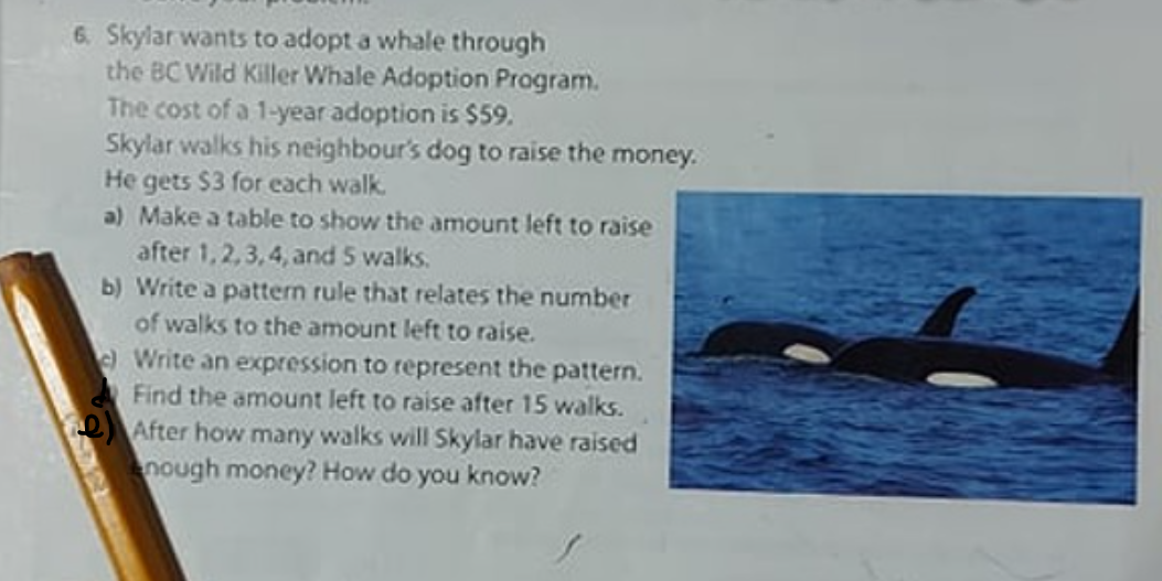 6. Skylarwants to adopt a whale through
the BC Wild Killer Whale Adoption Program.
The cost of a 1-year adoption is $59.
Skylar walks his neighbour's dog to raise the money.
He gets $3 for each walk.
a) Make a table to show the amount left to raise
after 1,2,3,4, and 5 walks.
b) Write a pattern rule that relates the number
of walks to the amount left to raise.
eWrite an expression to represent the pattern.
Find the amount left to raise after 15 walks.
2 After how many walks will Skylar have raised
nough money? How do you know?
