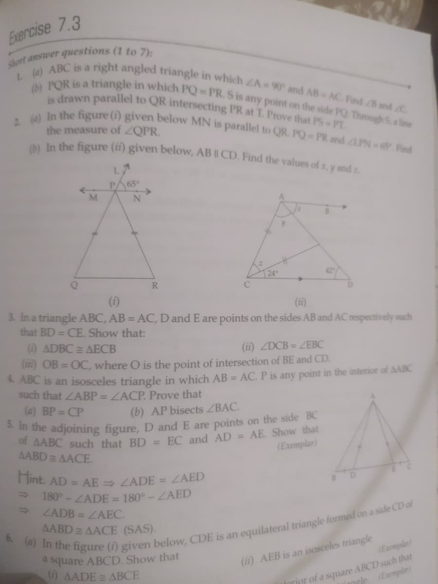 (b) In the figure (ii) given below, AB |I CD. Find the values of x, y and z
2 (4) In the figure (i) given below MN is parallel to QR. PQ PR and ZLPN- 65 Find
1 (a) ABC is a right angled triangle in which ZA 90 and AB AC Find B and C
is drawn parallel to QR intersecting PR at T. Prove that PS PT
(b) PQR is a triangle in which PQ PR.S is any point on the side PQ Through S, a line
Exercise 7.3
the measure of ZQPR.
L.
PA65°
M
24°
R
(i)
(ii)
3. In a triangle ABC, AB = AC, D and E are points on the sides AB and AC respectively such
that BD = CE. Show that:
(1) ADBC AECB
(ii) ZDCB = ZEBC
() OB = OC, where O is the point of intersection of BE and CD.
*ABC is an isosceles triangle in which AB = AC. P is any point in the interior of AABC
such that ZABP = ZACP. Prove that
(a) BP = CP
(b) AP bisects ZBAC.
* in the adjoining figure, D and E are points on the side BC
AABD AACE.
(Exemplar)
I lint. AD = AE ZADE ZAED
180°-LADE =
180°-ZAED
ZADB = LAEC.
AABD E AACE (SAS).
6.
square ABCD. Show that
(1) AADE = ABCE
(Exemplar)
torior of a square ABCD such that
iangle (Exemplar
(ii) AEB is an isosceles triangle
