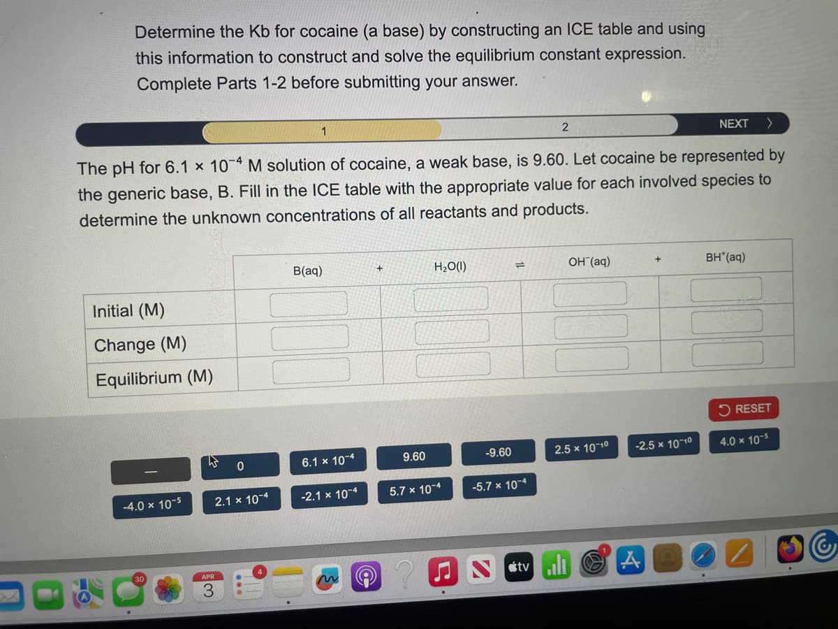 Determine the Kb for cocaine (a base) by constructing an ICE table and using
this information to construct and solve the equilibrium constant expression.
Complete Parts 1-2 before submitting your answer.
1
2
NEXT
>
The pH for 6.1 x 104 M solution of cocaine, a weak base, is 9.60. Let cocaine be represented by
the generic base, B. Fill in the ICE table with the appropriate value for each involved species to
determine the unknown concentrations of all reactants and products.
Initial (M)
Change (M)
Equilibrium (M)
B(aq)
+
H₂O(1)
0
6.1 × 10-4
9.60
-4.0 x 10-5
2.1 × 10-4
-2.1 × 10-4
5.7 × 10-4
3
=4
OH(aq)
+
BH*(aq)
RESET
-9.60
2.5 x 10-10
-2.5 x 10-10
4.0 × 10-5
-5.7 × 10-4
Stv
A