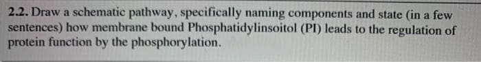 2.2. Draw a schematic pathway, specifically naming components and state (in a few
sentences) how membrane bound Phosphatidylinsoitol (PI) leads to the regulation of
protein function by the phosphorylation.
