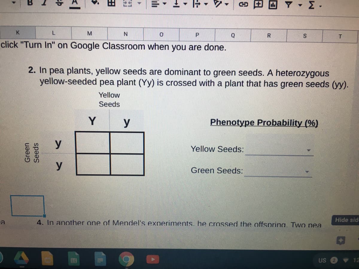 , Σ.
K
Q
R.
click "Turn In" on Google Classroom when you are done.
2. In pea plants, yellow seeds are dominant to green seeds. A heterozygous
yellow-seeded pea plant (Yy) is crossed with a plant that has green seeds (yy).
Yellow
Seeds
Y
y
Phenotype Probability (%)
У
Yellow Seeds:
y
Green Seeds:
4. In another one of Mendel's experiments. he crossed the offsprina. Two nea
Hide sid
US
12
Green
Seeds
田
