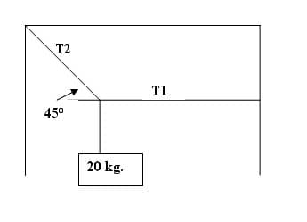 T2
T1
45°
20 kg.
