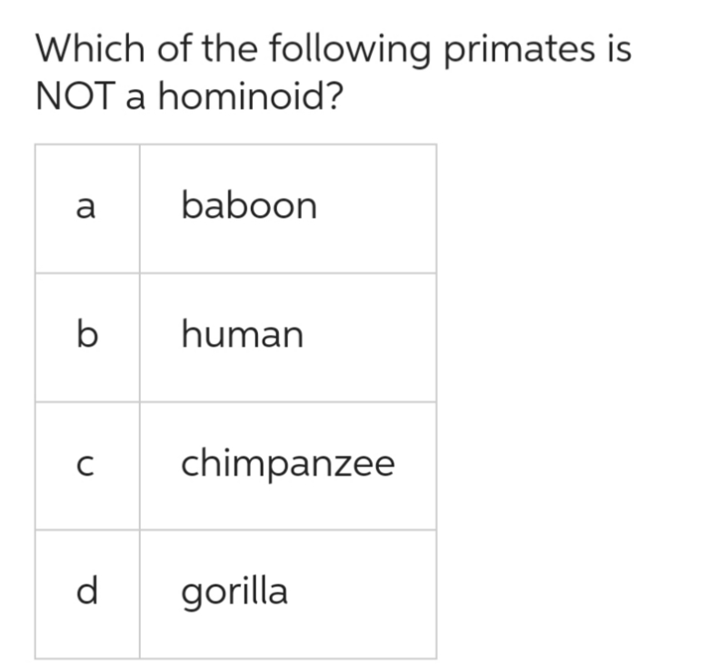 Which of the following primates is
NOT a hominoid?
a
b
с
d
baboon
human
chimpanzee
gorilla