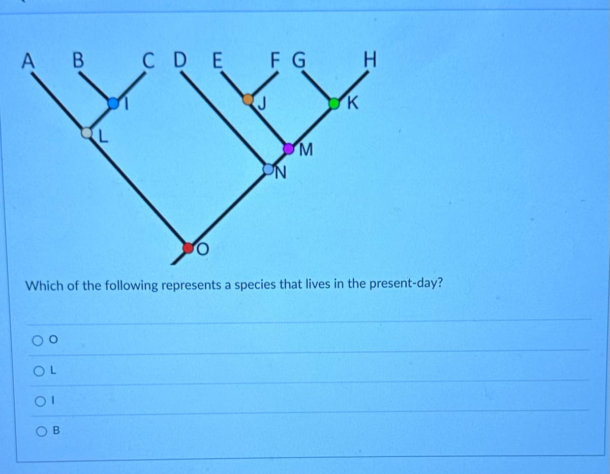 A B
OL
OI
O
CDE FG
B
M
Which of the following represents a species that lives in the present-day?
K
H