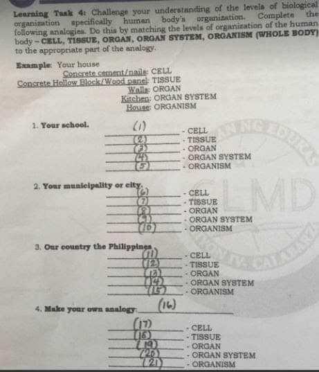 Learning Taak 4: Challenge your understanding of the levele of biological
organization specifically human body's organization. Complete
following analogies. Do this by matching the levels of organization of the human
body - CELL, TISSUE, ORGAN, ORGAN SYSTEM, ORGANISM (WHOLE BODY)
to the appropriate part of the analogy.
the
Example Your house
Concrete cement/naile CELL
Concrete Hollow Block/Wood panel TISSUE
Walla ORGAN
Kitchen: ORGAN SYSTEM
House: ORGANISM
1. Your school.
COURY
(1)
CELL
TISSUENN
ORGAN
ORGAN SYSTEM
ORGANISM
LMD
2. Your munieipality or elty.
CELL
(2)
- TISSUE
- ORGAN
- ORGAN SYSTEM
- ORGANISM
13)
3. Our country the Philippines
- CELL
TISSUE
-ORGAN
- ORGAN SYSTEM
ORGANISM
12)
(16)
(17)
4. Make your own analogy
- CELL
- TISSUE
- ORGAN
- ORGAN SYSTEM
- ORGANISM
726)
721
