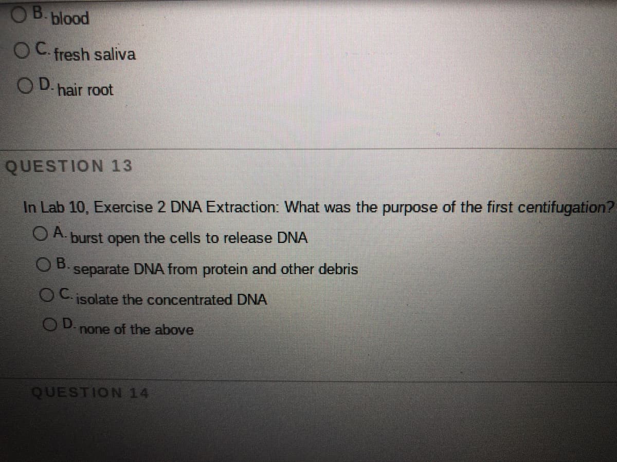 OB.blood
OC. fresh saliva
OD hair root
QUESTION 13
In Lab 10, Exercise 2 DNA Extraction: What was the purpose of the first centifugation?.
O A.
burst open the cells to release DNA
O D. separate DNA from protein and other debris
OIsolate the concentrated DNA
O D.
none of the above
QUESTION 14
