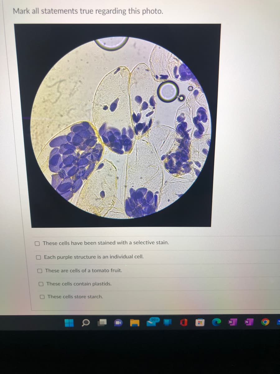 Mark all statements true regarding this photo.
These cells have been stained with a selective stain.
Each purple structure is an individual cell.
These are cells of a tomato fruit.
These cells contain plastids.
These cells store starch.
O
HH