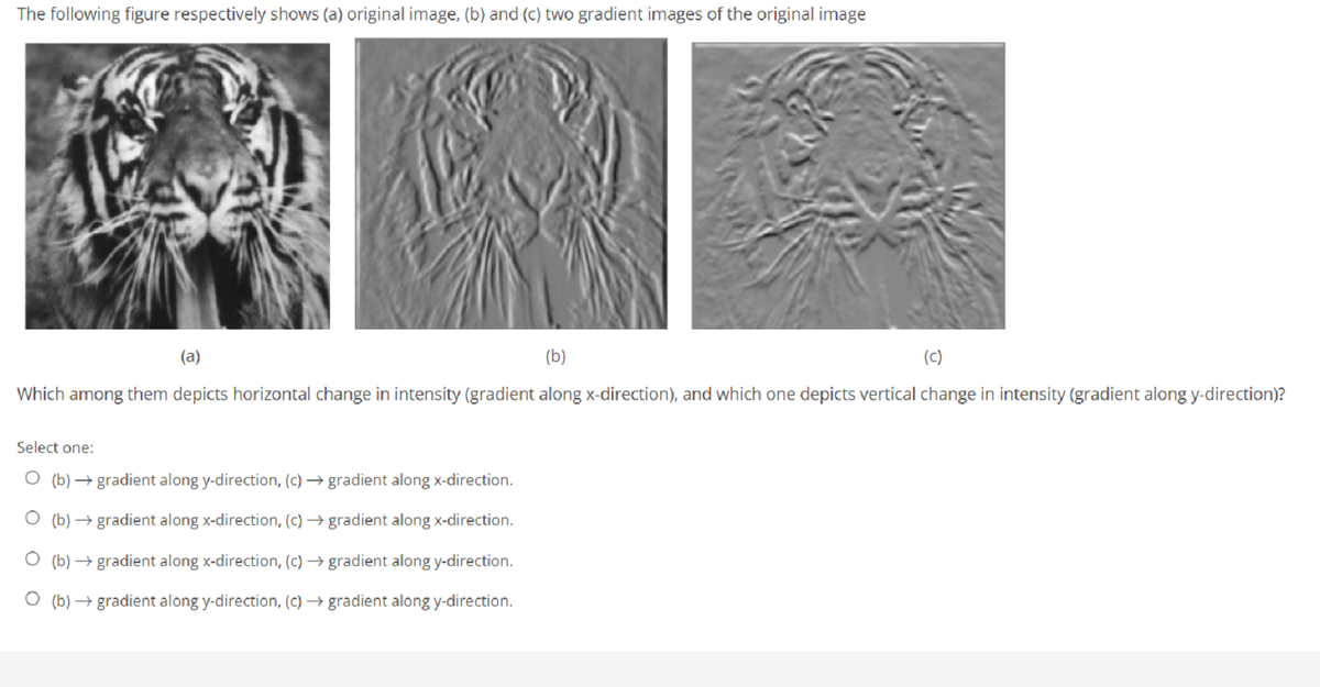 The following figure respectively shows (a) original image, (b) and (c) two gradient images of the original image
(a)
(b)
(c)
Which among them depicts horizontal change in intensity (gradient along x-direction), and which one depicts vertical change in intensity (gradient along y-direction)?
Select one:
O (b) → gradient along y-direction, (c) → gradient along x-direction.
O (b) → gradient along x-direction, (c) → gradient along x-direction.
O (b) → gradient along x-direction, (c) → gradient along y-direction.
O (b) → gradient along y-direction, (c) → gradient along y-direction.
