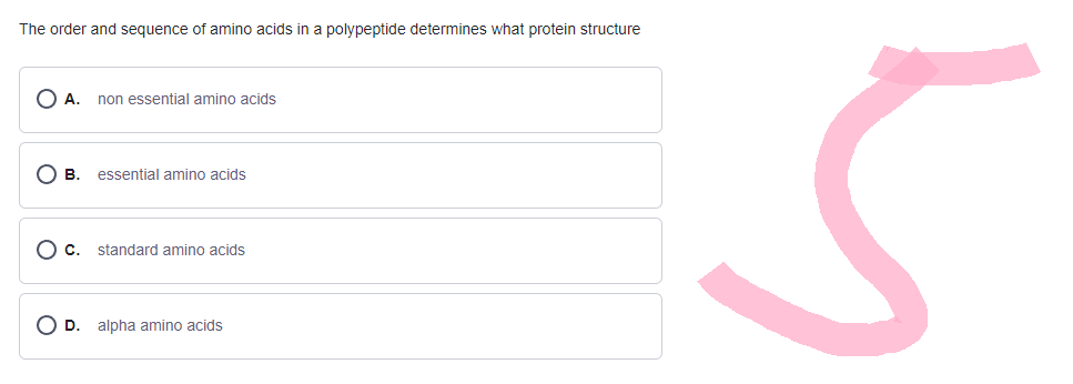 The order and sequence of amino acids in a polypeptide determines what protein structure
O A. non essential amino acids
B. essential amino acids
standard amino acids
O D. alpha amino acids
5