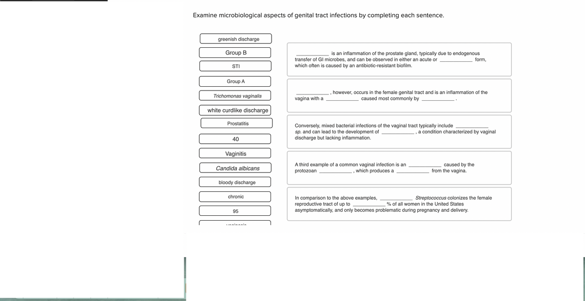 Examine microbiological aspects of genital tract infections by completing each sentence.
greenish discharge
Group B
is an inflammation of the prostate gland, typically due to endogenous
form,
transfer of GI microbes, and can be observed in either an acute or
which often is caused by an antibiotic-resistant biofilm.
STI
Group A
however, occurs in the female genital tract and is an inflammation of the
Trichomonas vaginalis
vagina with a
caused most commonly by
white curdlike discharge
Prostatitis
Conversely, mixed bacterial infections of the vaginal tract typically include
sp. and can lead to the development of
discharge but lacking inflammation.
a condition characterized by vaginal
40
Vaginitis
A third example of a common vaginal infection is an
protozoan
caused by the
from the vagina.
Candida albicans
which produces a
bloody discharge
chronic
In comparison to the above examples,
reproductive tract of up to
asymptomatically, and only becomes problematic during pregnancy and delivery.
Streptococcus colonizes the female
% of all women in the United States
95
