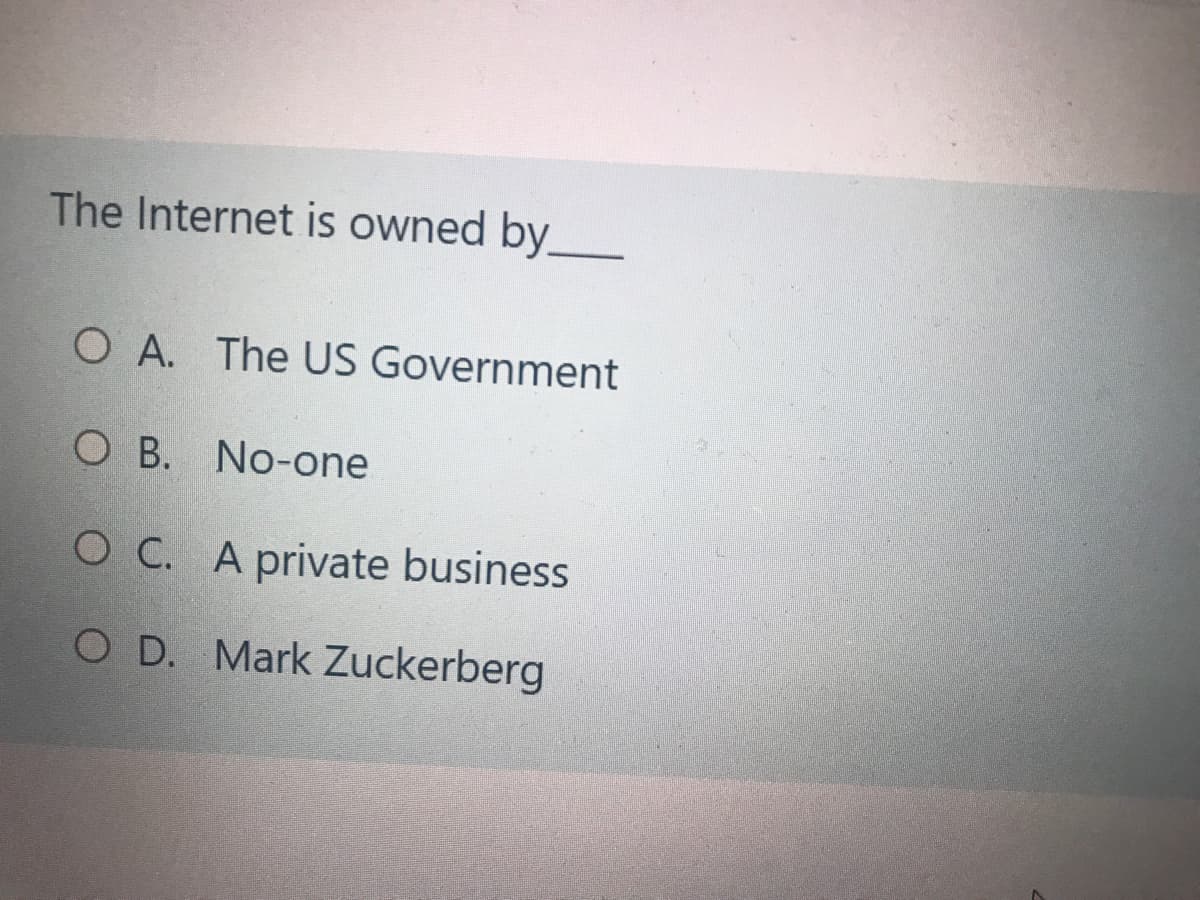 The Internet is owned by
O A. The US Government
O B. No-one
O C. A private business
O D. Mark Zuckerberg
