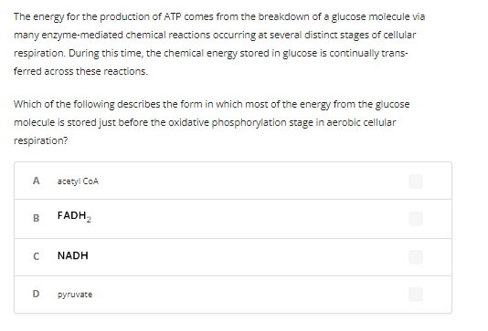 The energy for the production of ATP comes from the breakdown of a glucose molecule via
many enzyme-mediated chemical reactions occurring at several distinct stages of cellular
respiration. During this time, the chemical energy stored in glucose is continually trans-
ferred across these reactions.
Which of the following describes the form in which most of the energy from the glucose
molecule is stored just before the oxidative phosphorylation stage in aerobic cellular
respiration?
A
B
с
D
acetyl CoA
FADH 2
NADH
pyruvate