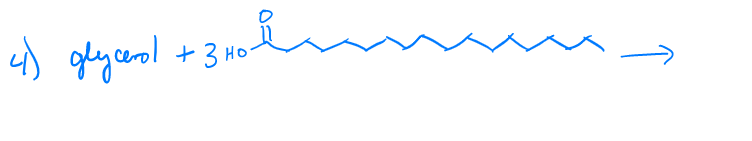 4) glyceool +3 wo-
